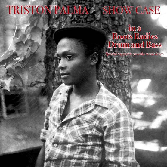 Show Case Lp Czarny Winyl Muzyka Płyty Winylowe Lp Wykonawca Palmer Triston Jimmy 5743